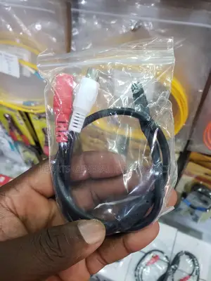 DVR Microphone / Audio Pickers