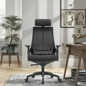 Ergonomic High Back Office Chairs Office Chairs