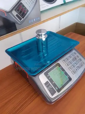 Acs-P4 Electronic Weighing Scale 40kg Weigh Digital Weighing Scale