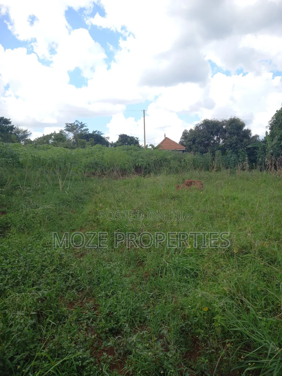 50x100 Plots for Sale in Sonde Kiwango.