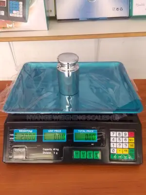 Electronic Weigh 5g Shop Weighing Scale 40kg Digital Weighing Scale