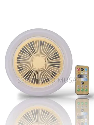 Portable Lamp Multi-Function Fan Light