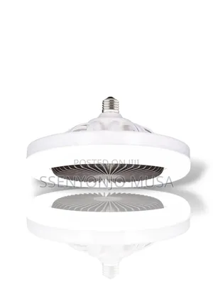 Portable Lamp Multi-Function Fan Light