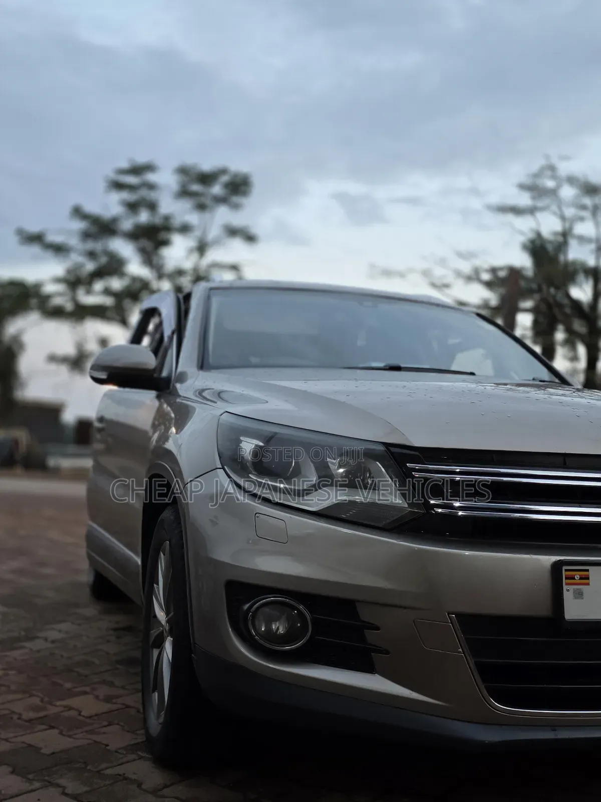 Volkswagen Tiguan 2012 Beige