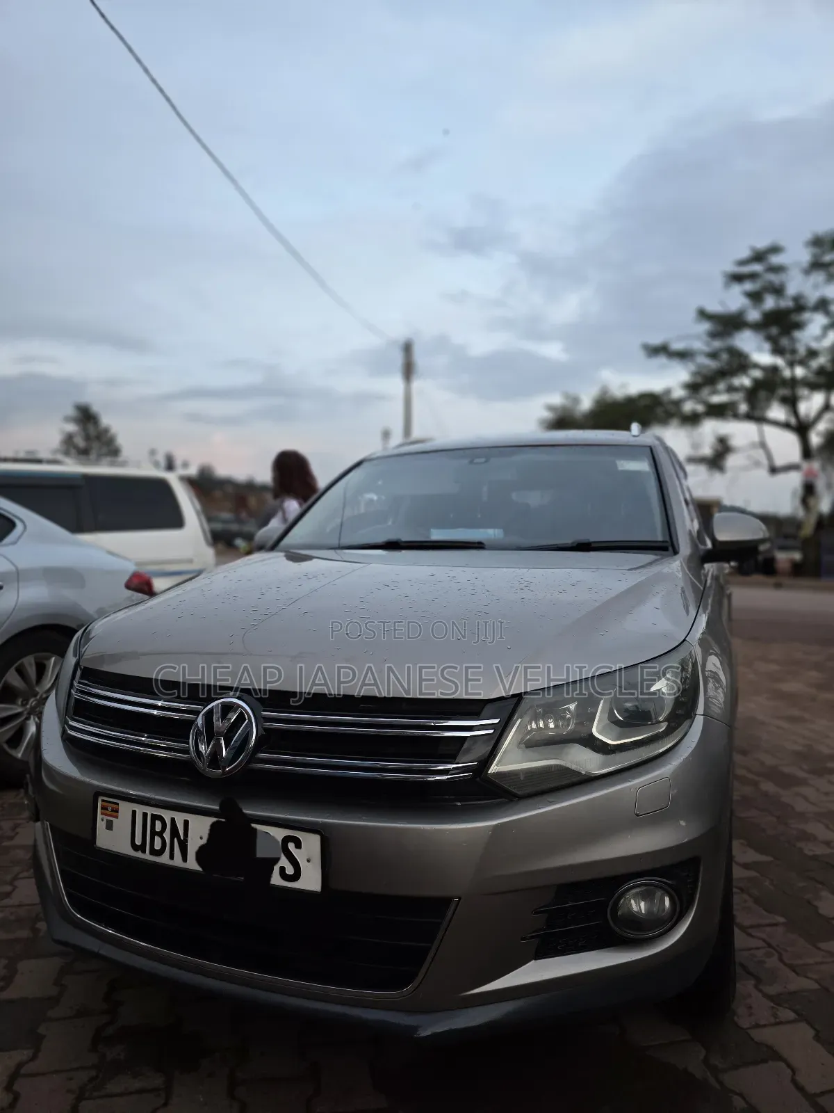 Volkswagen Tiguan 2012 Beige