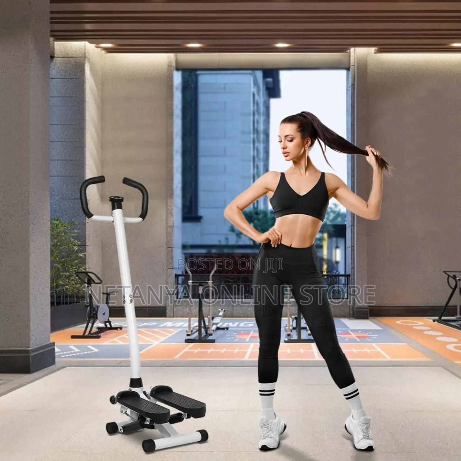 Exercise Stepper With Handle