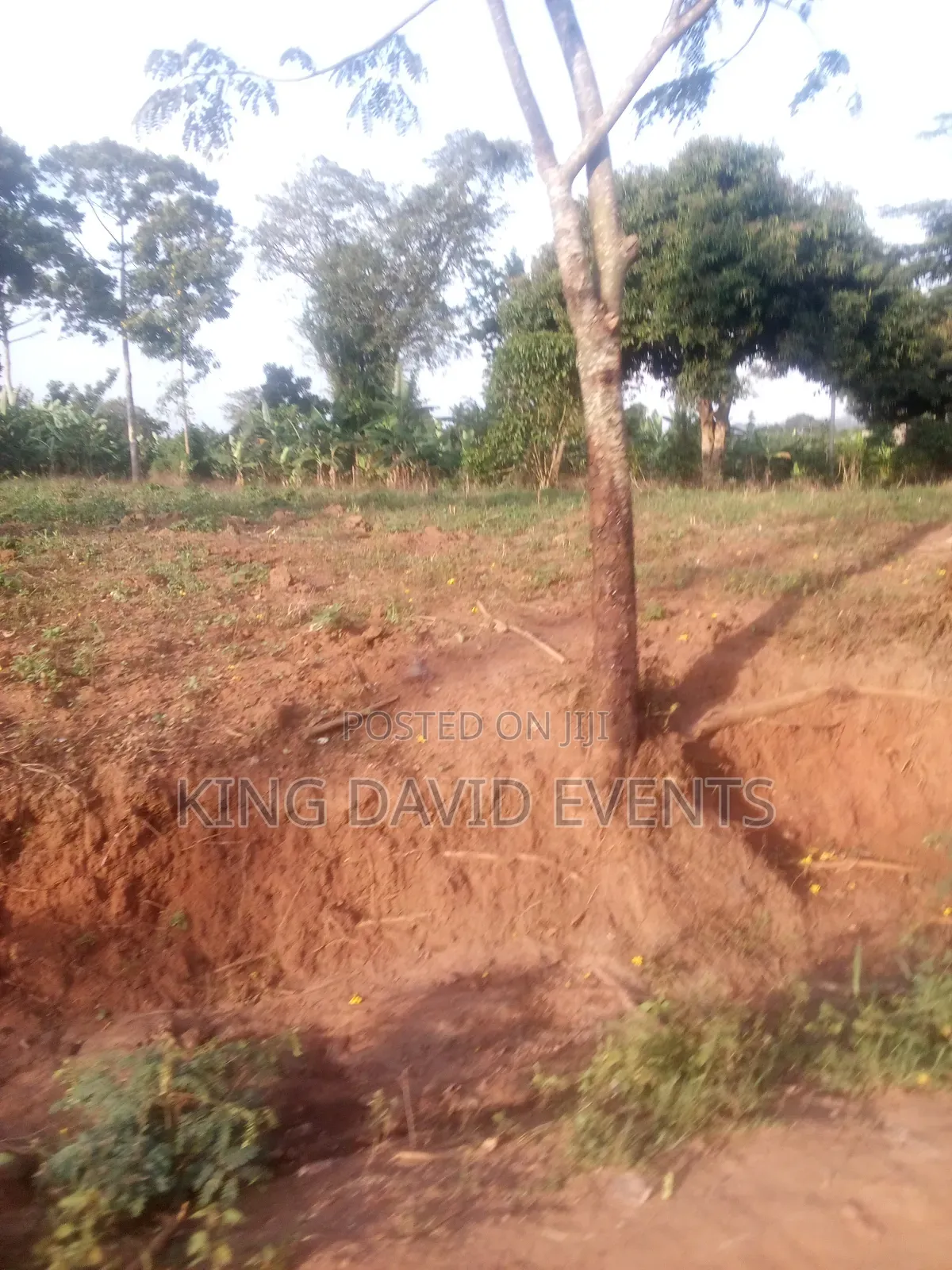 Plot 25 by 50 at 3m on Bombo Road Buyago Village