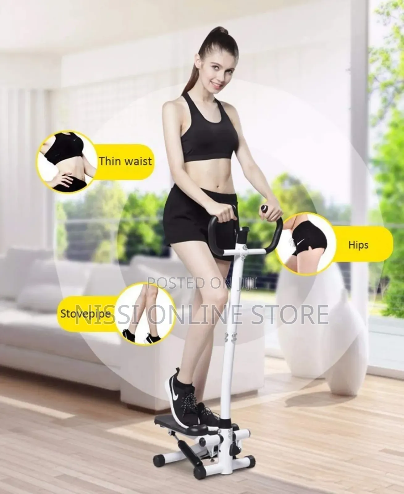 Mini Stepper With Handle Bar