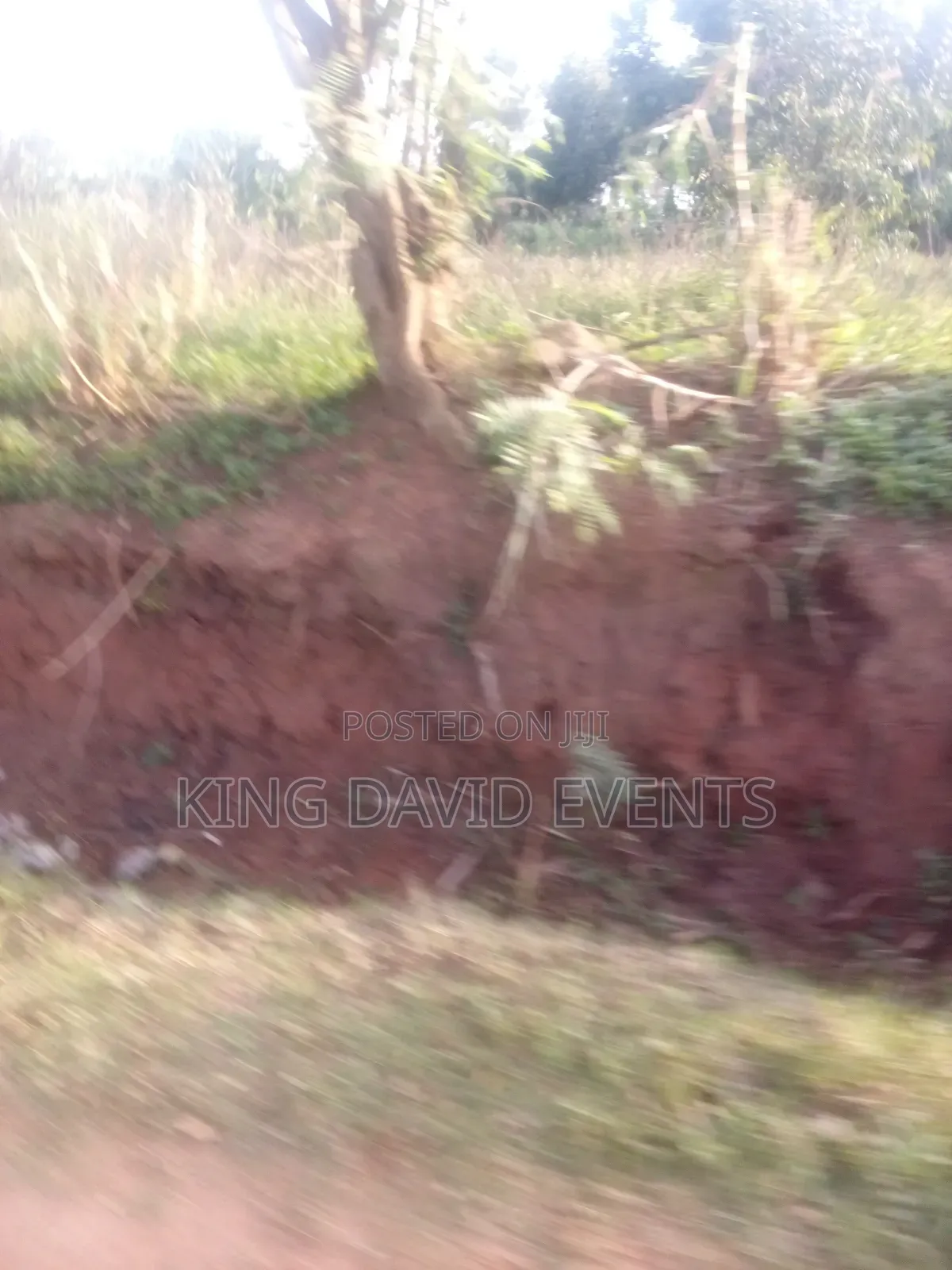 Plot for the at 3m , Size 25 by 50 on Bombo Road