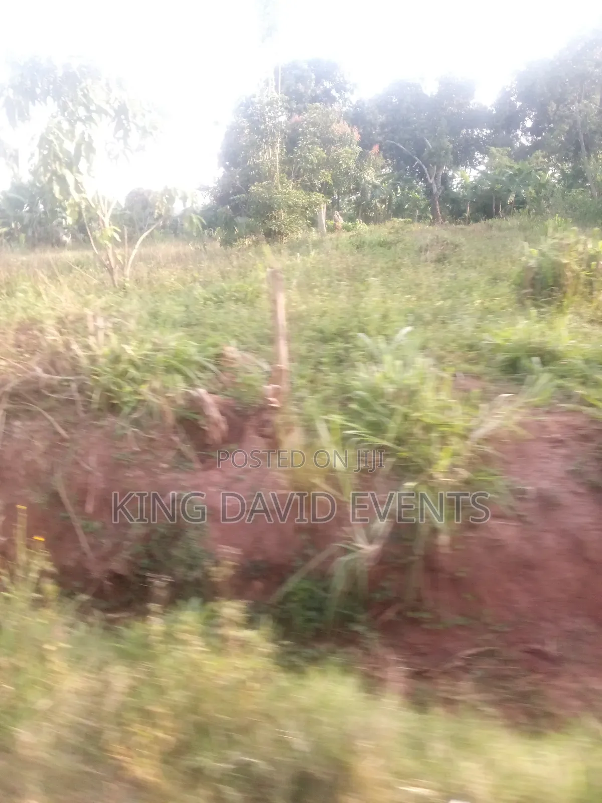 Plot for the at 3m , Size 25 by 50 on Bombo Road