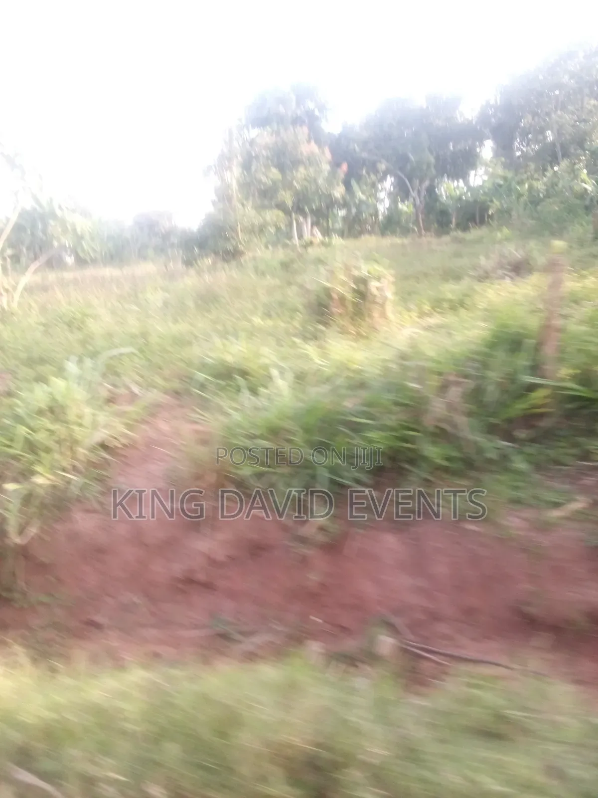 Plot for the at 3m , Size 25 by 50 on Bombo Road