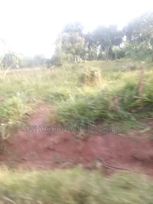 Plot for the at 3m , Size 25 by 50 on Bombo Road