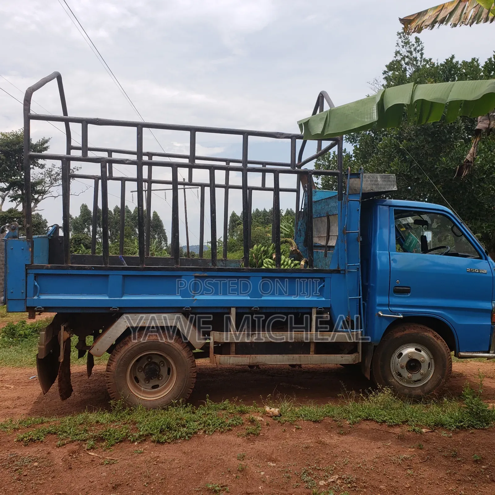 Isuzu Elf Truck 1981 Blue