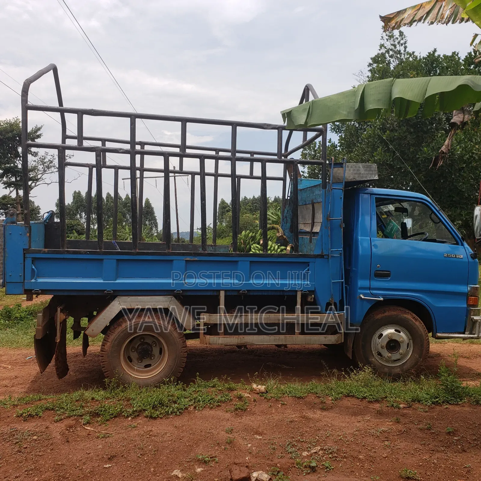 Isuzu Elf Truck 1981 Blue