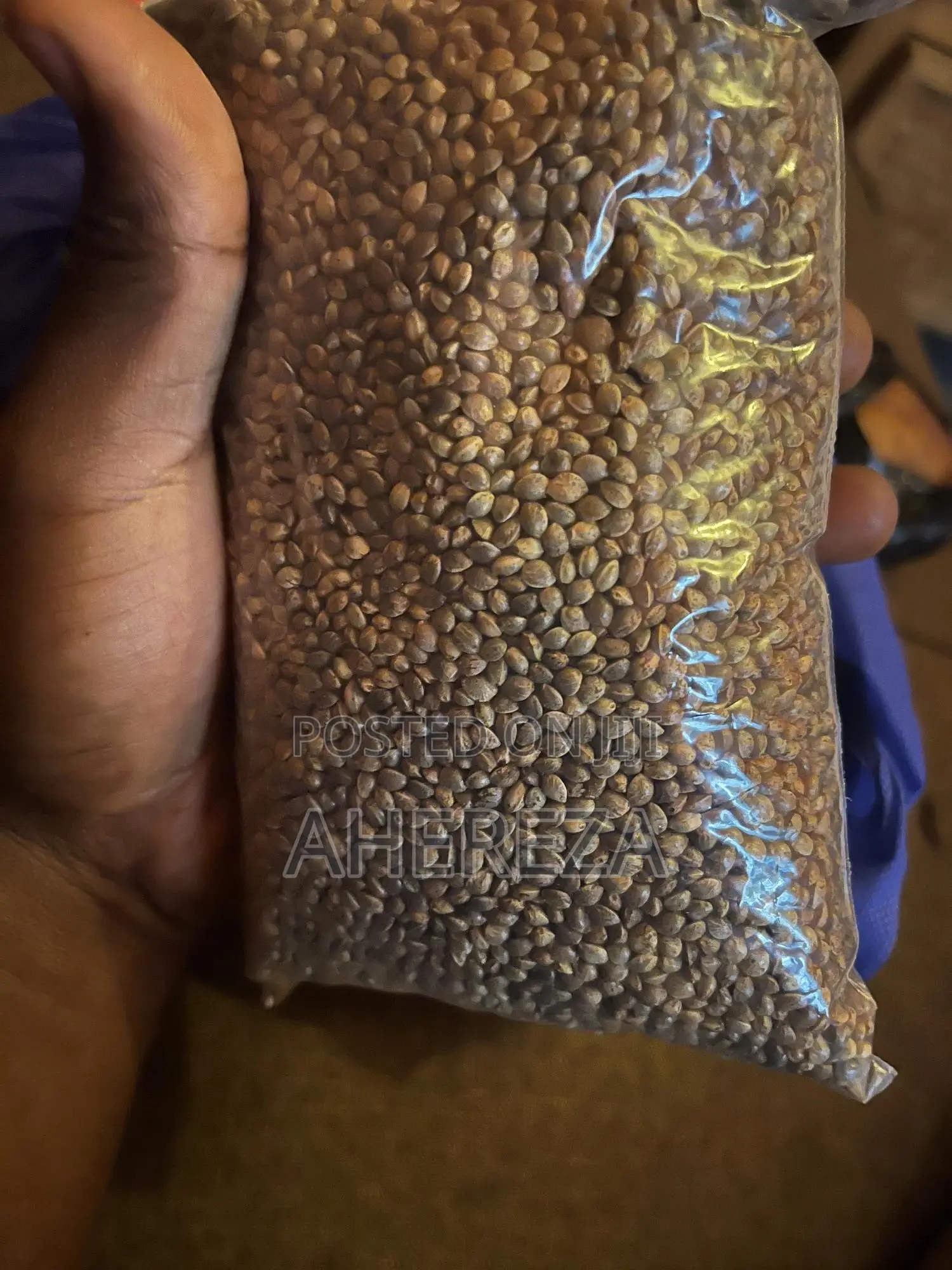 Herb Seeds Thc And Cbd’S