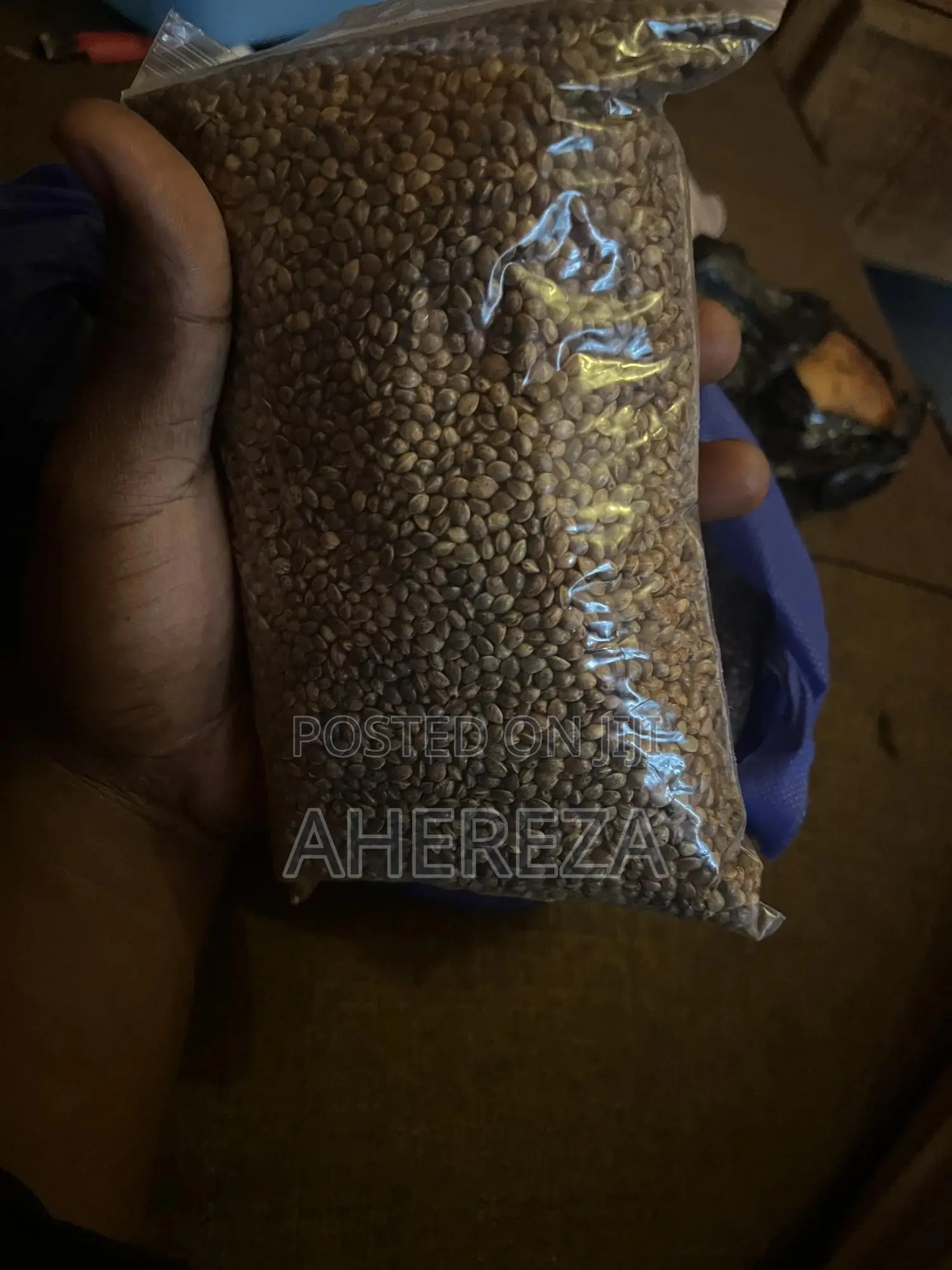 Herb Seeds Thc And Cbd’S