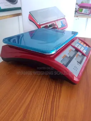 Portable Weigh 40kg Table Weighing Scale Digital Weighing Scale (2)