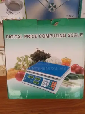 Electronic 40kg Weigh Computing Weighing Scale Portable Weigh Scale(2)