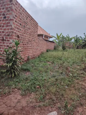 25 Ft by 50 Ftplot on Quick Sale