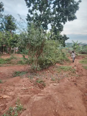 25 Ft by 50 Ftplot on Quick Sale