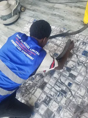 Sofa and Carpet Cleaning