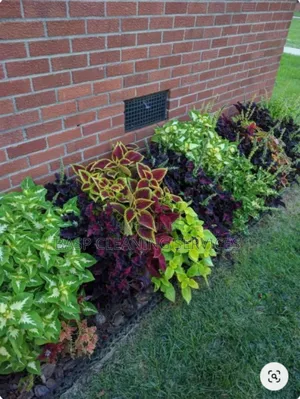 Gardening Services