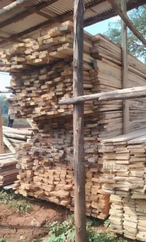 Timber ( Eucalyptus)
