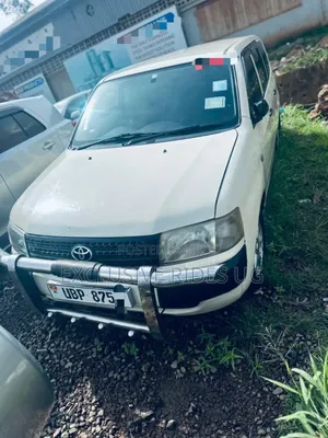 Toyota Probox 1.3 DX 2WD 2010 Silver