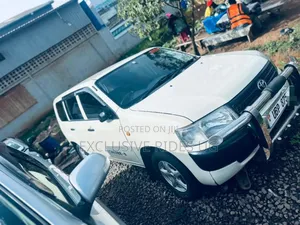Toyota Probox 1.3 DX 2WD 2010 Silver