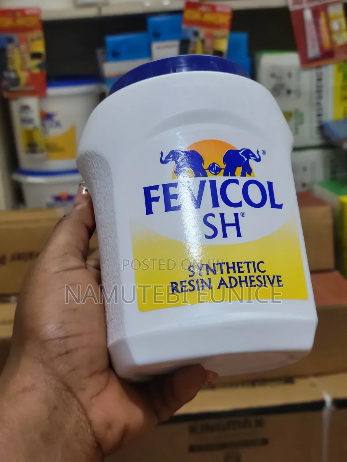 Fevico Wood Glue 1kg
