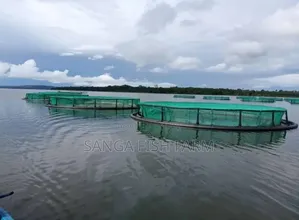 Rwanda Fish Farm