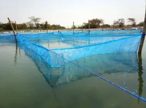 Masaka Fish Farm