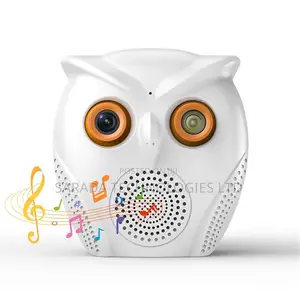 Bluetooth Speaker Camera Wifi