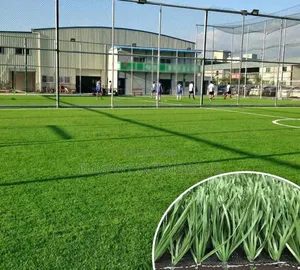 Elegant Artificial Grass Available for Home Balconies and Compounds