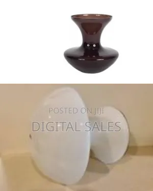Cloverdale Modern Creative Conch Shell Fish Decorative Vases for 0
