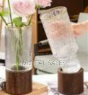 1 Pc Detachable Transparent Hydroponic Modern Home Decorations