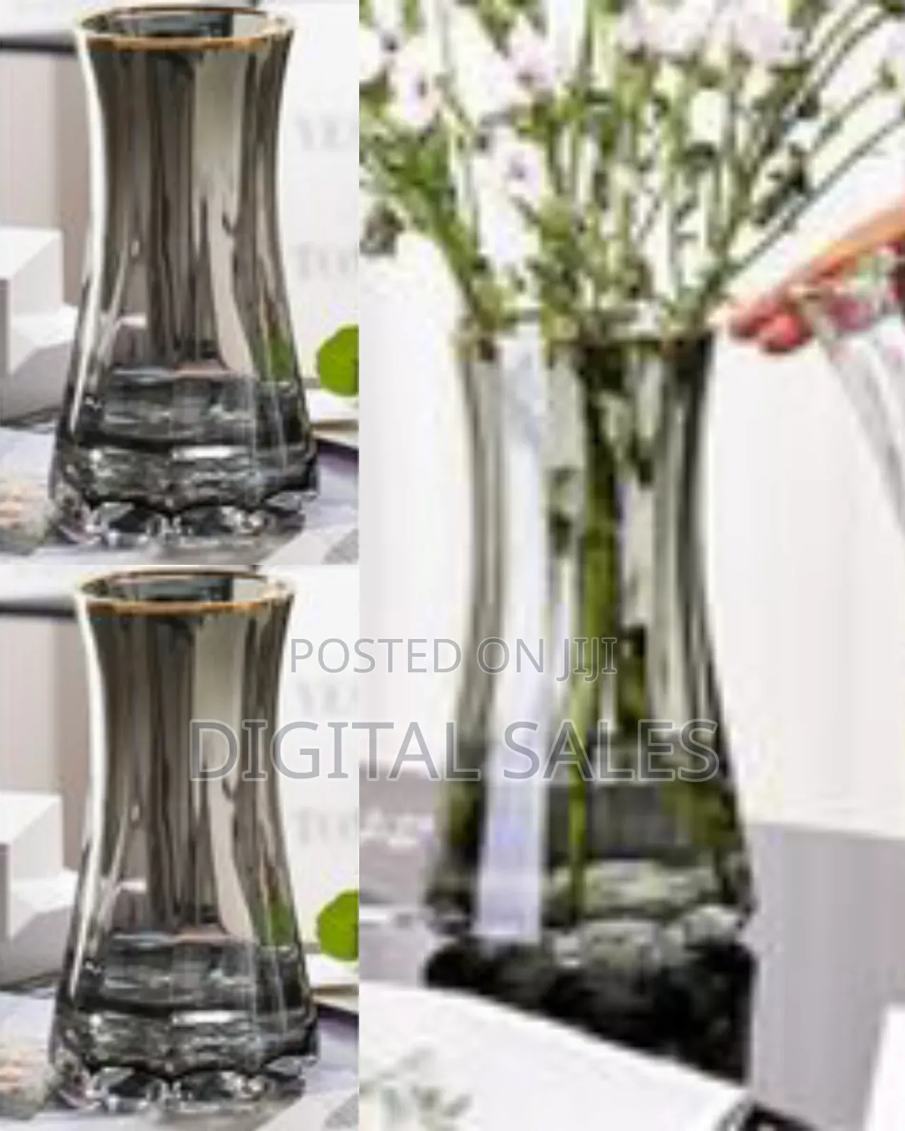 Golden Edge Hydroponic Vase for Living Room Decorations Transparent