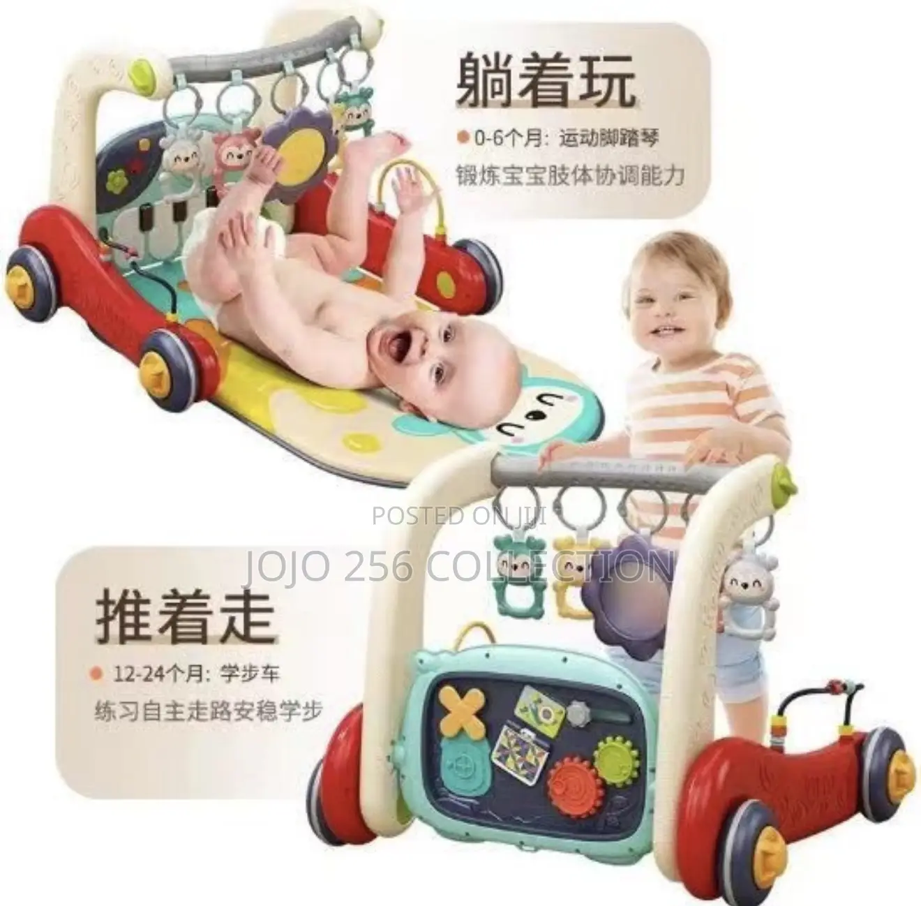 2 in 1 Play Gym and Walker
