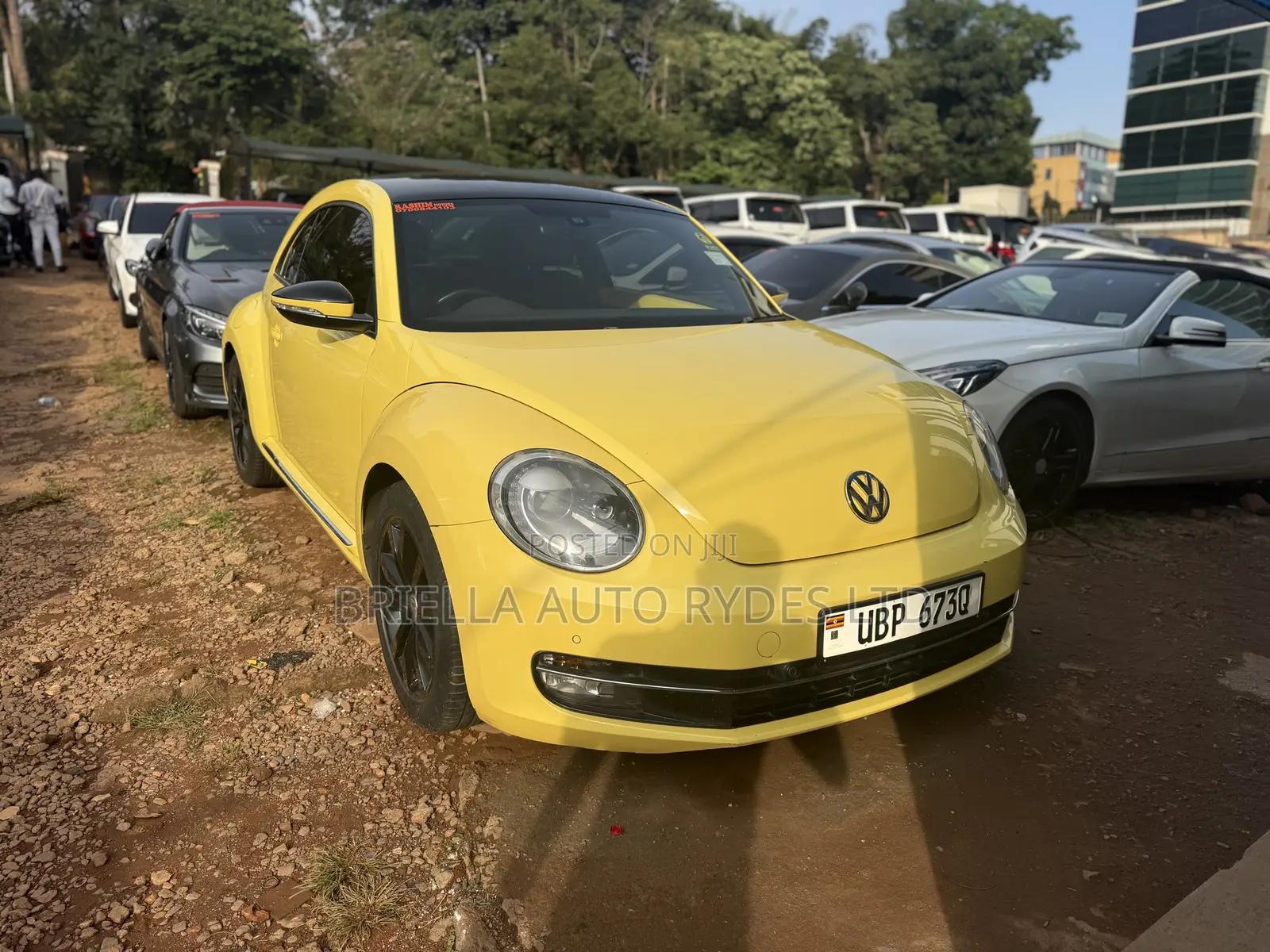 Volkswagen Beetle 2014 Yellow