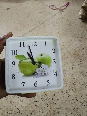 Alam Watches