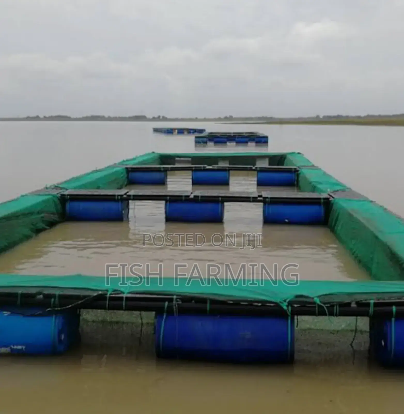 Harvest Fish Farm .