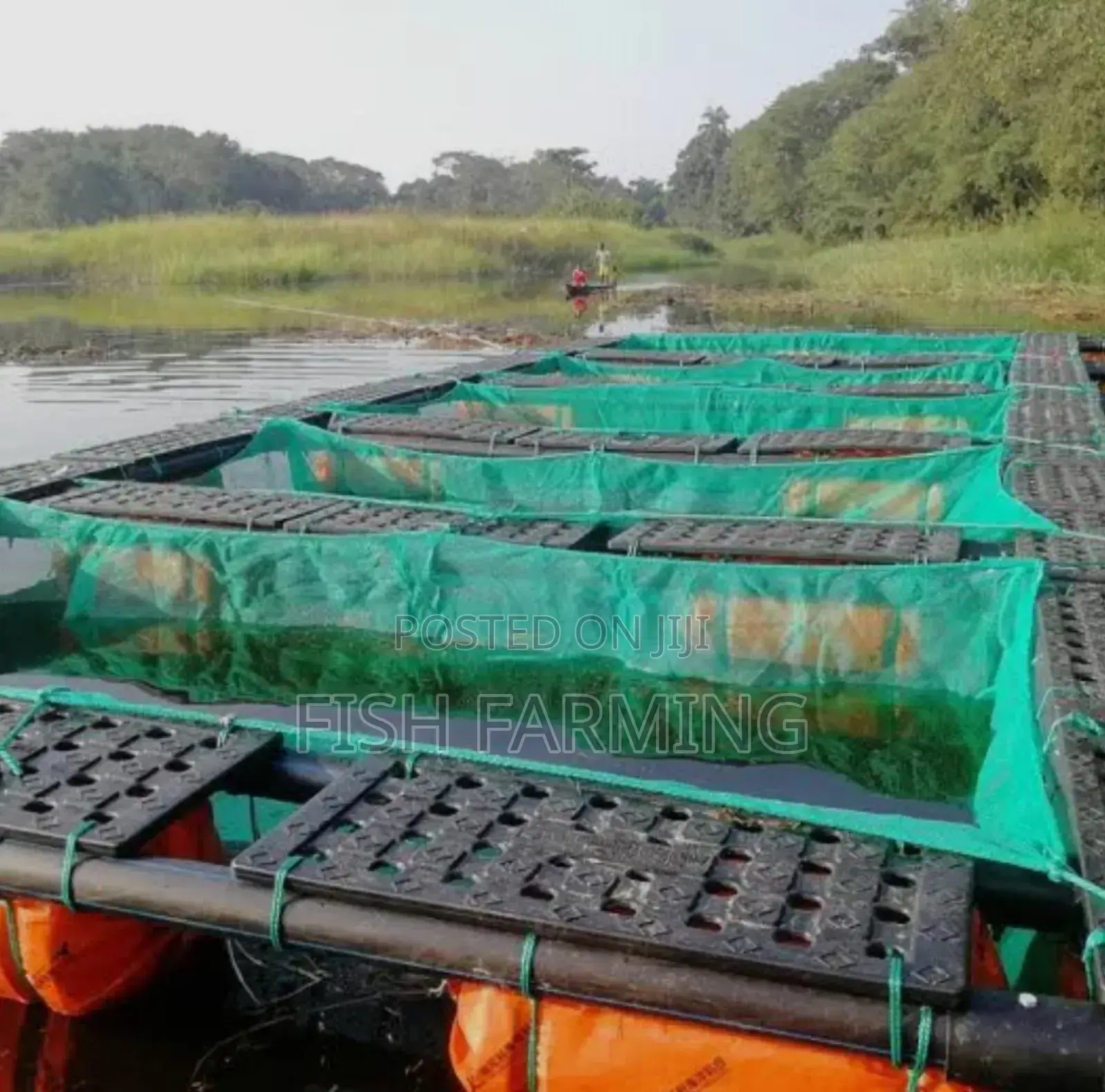Cage Fish Farm