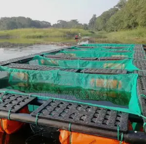 Cage Fish Farm