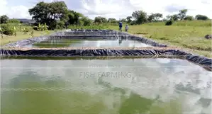 Rich Fish Farm
