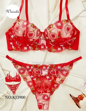 Romantic Net Lingerie