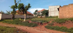 108 by 50 Feet Plot in Kira With a Title