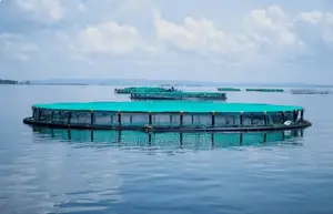 Quality Fish Farming