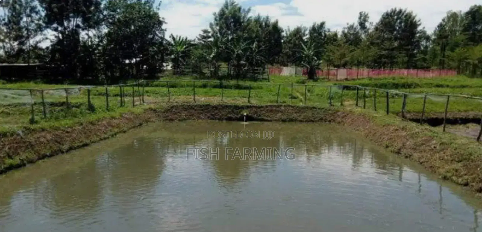 Quality Fish Farming