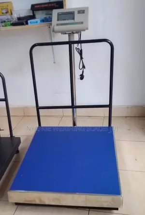 A12 Stainless Steal Weighing Scale 500kg Weigh Digital Weighing Scale