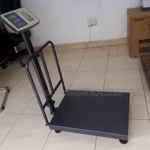 Industrial Weighing Scale 350kg Weigh Digital Platform Weighing Scale